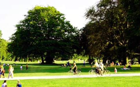 湿地公园考察报告