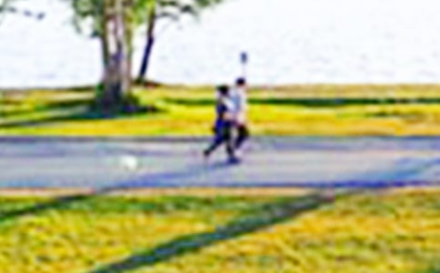 ��԰��ȫ���������ƶ�