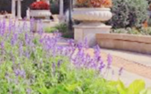 ������԰�����йؽ�����