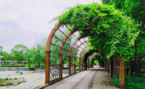 公园安全生产规章制度(通用11篇)