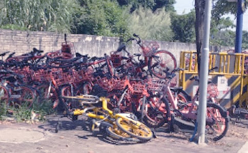 ofo共享单车调研报告新版