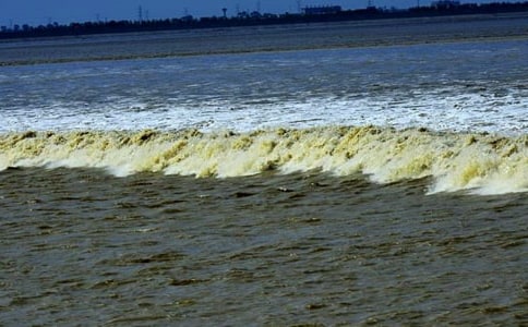 ���۳����̰�