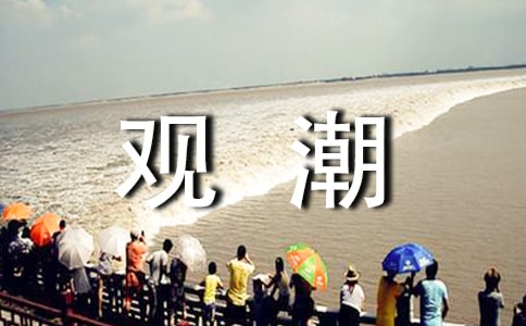 ���ڹ۳��̰�