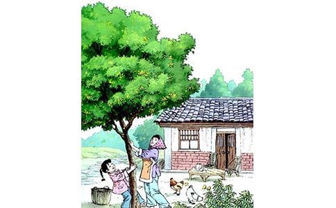 �����꡷�̰�