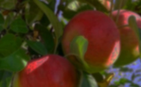 ��԰�����˽̰�15ƪ