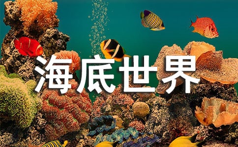 有关《海底世界》教案范文合集五篇