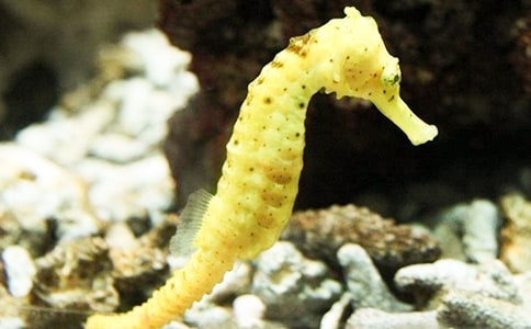 �����ְ��������ĳ�ʶ�