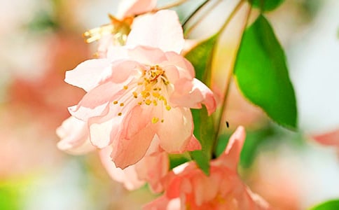 ��������ӽ�׺���ԭ�ļ�����