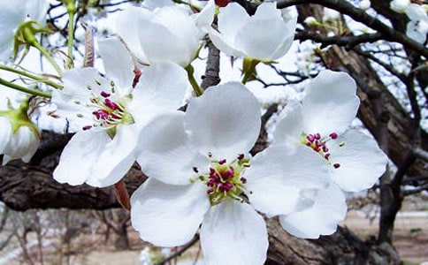 ӽ�׺���ԭ�ġ�ע�͡�����