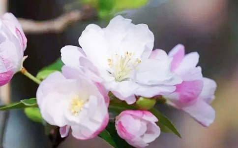 ����ԭ�ļ�����