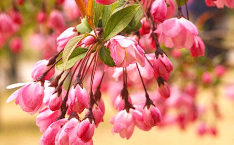 ��ӽ�׺��ġ�ԭ�ļ�����