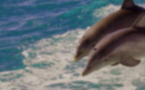 ���ĺ�����˼