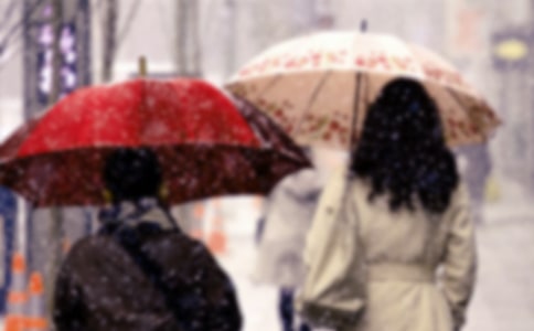 ����������Ӧ��Ԥ�����ģ�ͨ��8ƪ��