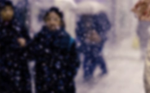 ��������Ӧ��Ԥ��11ƪ