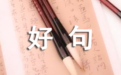 ��������ټ���������þ�����¼��ȫ100�侫ѡ