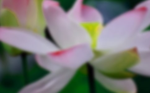 ��ѡ�ɻ��̰����ļ�����ƪ