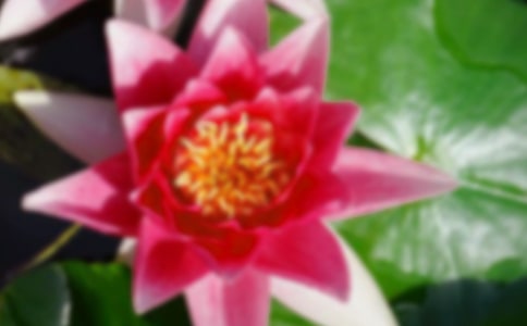 ���Ի���ɻ��ɻ����¿�����ѧ��˼