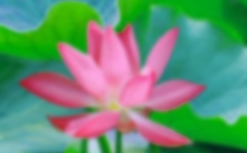 �ɻ��Ľ̰�����15ƪ