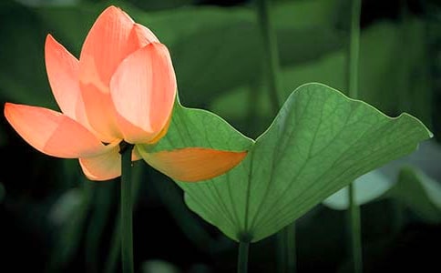 �����ɻ�������ôд