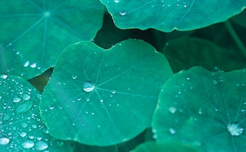 ���ں�ҶԲԲ�̰��ϼ���ƪ