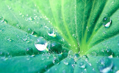 ����ҶԲԲ���̰����ļ���9ƪ