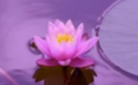 和谐邻里节活动方案