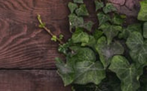 创建和谐讲话稿