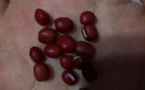 �����춹޲�����Ĺ�Ч������