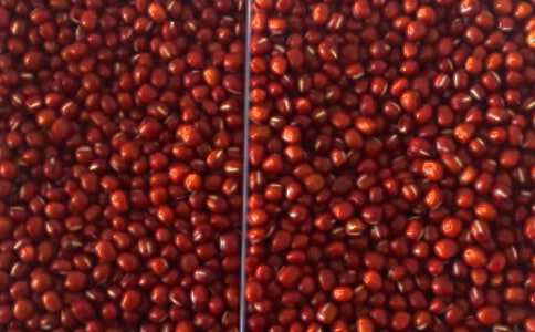 �춹�Ĺ�Ч������