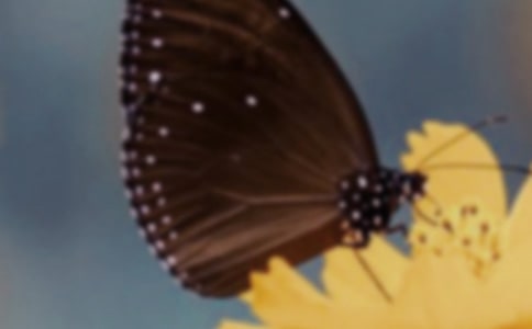 һƬ���������˼����ѡ10ƪ��