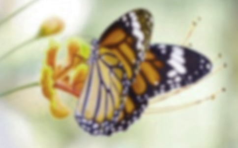 �����ֹ��������˼