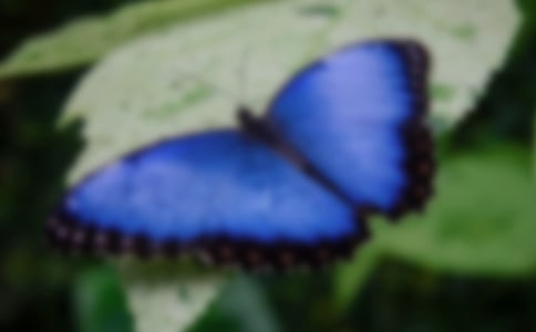 ����ֻ�������̰�15ƪ