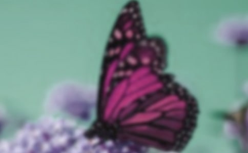 �а�������ֻ�����̰�