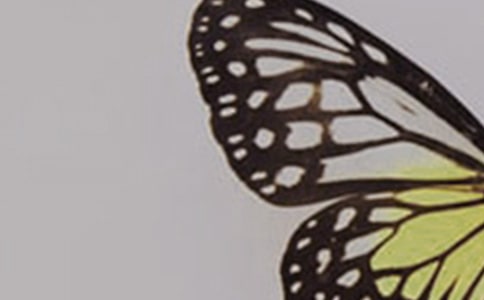 �������һ���С��̰�