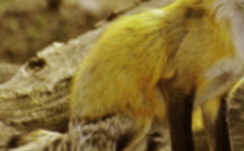 ���������ѻ���̰���ѡ15ƪ