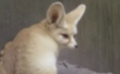 ���������ѻ���̰�15ƪ