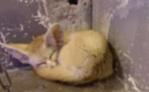 ������Ժ������ѻ�̰�