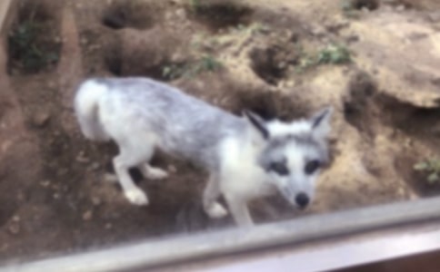 ���������ѻ�� �̰�