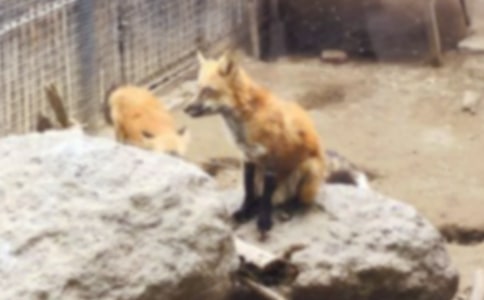 ���������ѻ���̰�