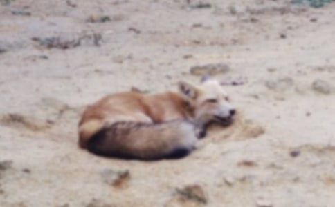 ������Խ̰������������ѻ��