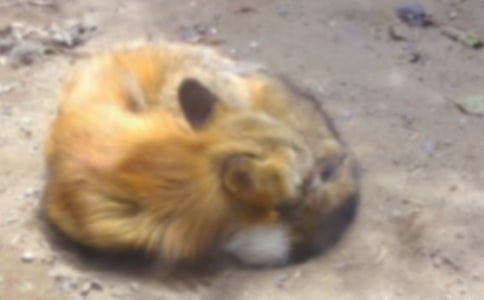 ������Խ̰���ѻ�ͺ���