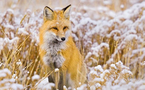 ���ڡ��������ѻ���̰���ƪ