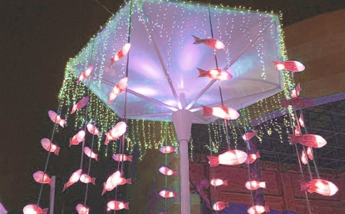 �а໨�ƻ���˼