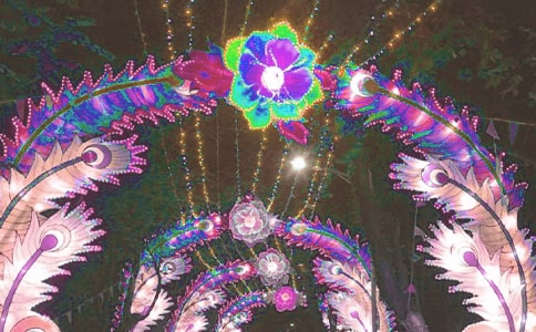 ���ֻ��ơ����̰�