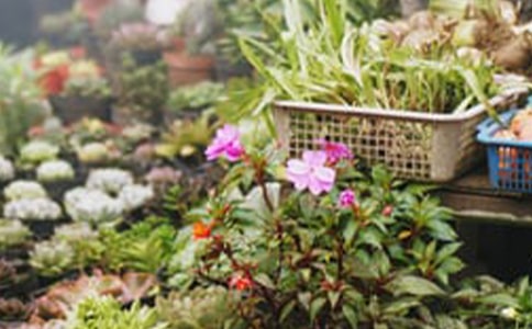 [��]��������