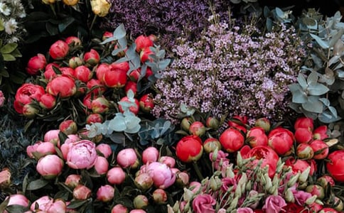 �������Э�鷶��