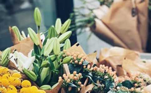 ���괴ҵ�ƻ��鰸��