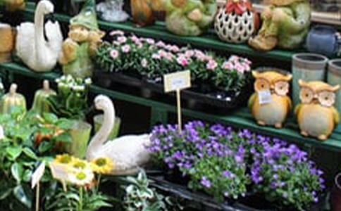 ��������