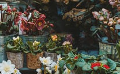 ���ϻ��괴ҵ�ƻ���