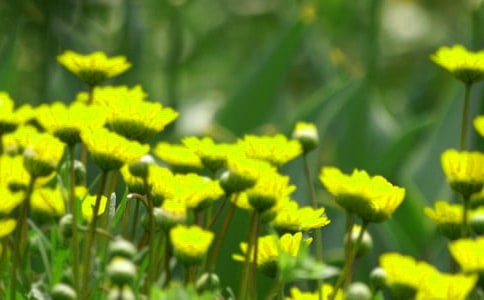 ��໨��̰�